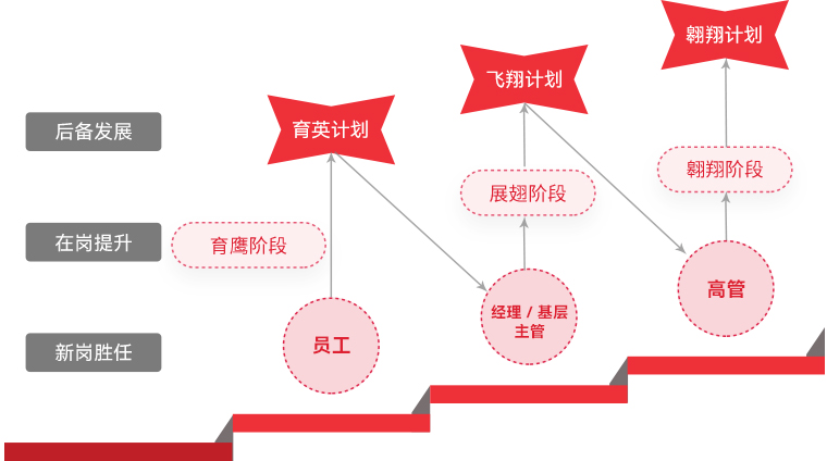 米兰官方网 "雄鹰计划"人才梯队培养